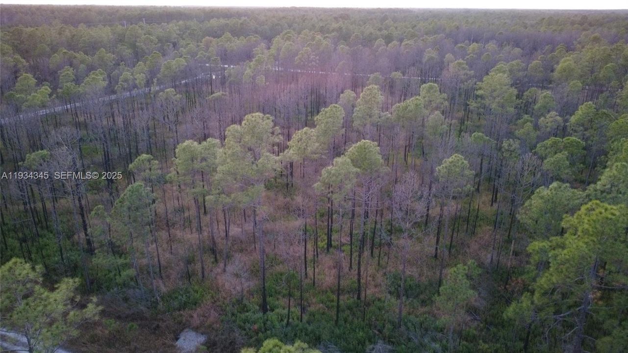 待售: $13,000 (1.25 acres)