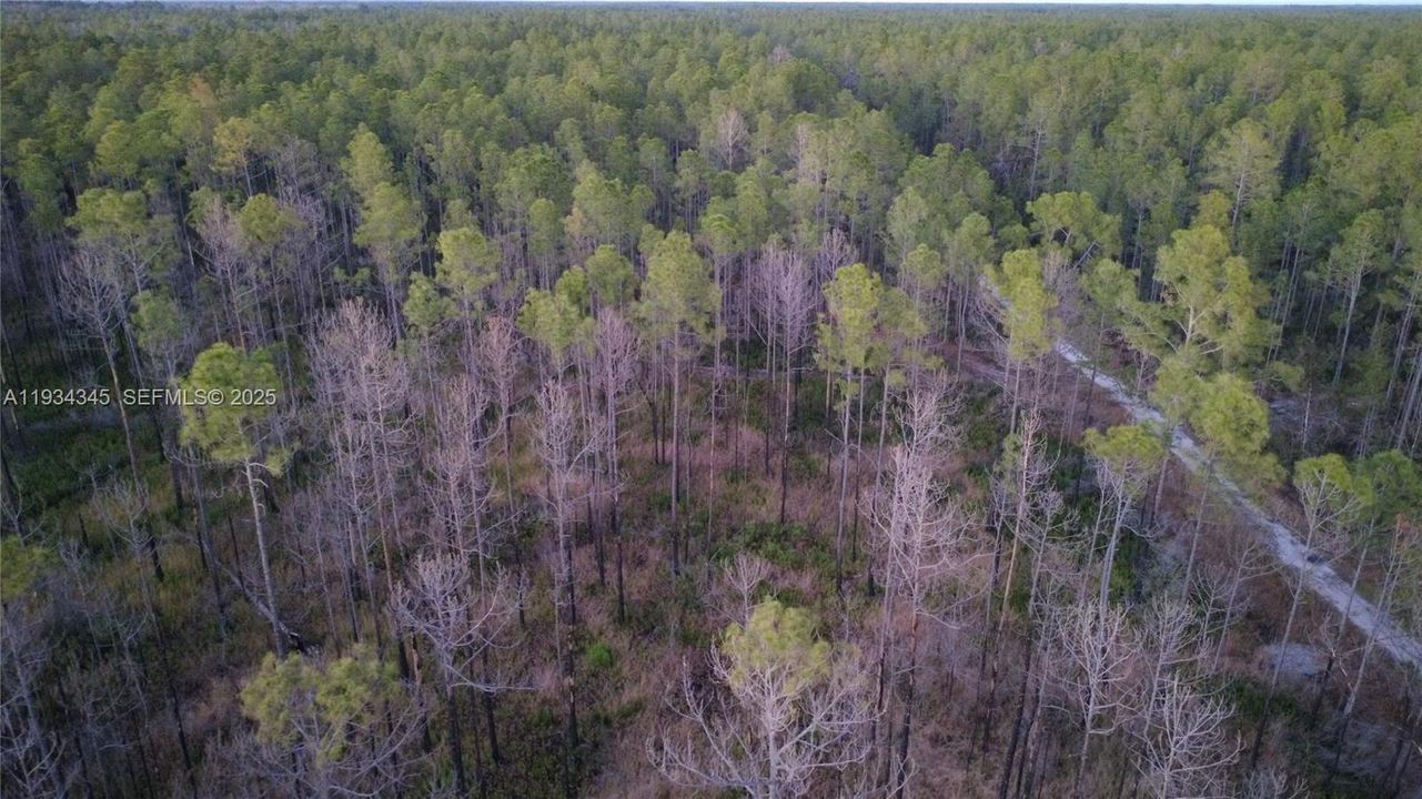 待售: $13,000 (1.25 acres)