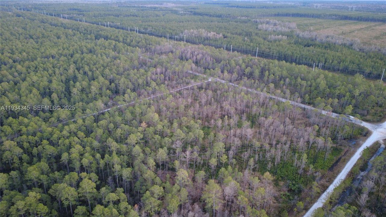 待售: $13,000 (1.25 acres)