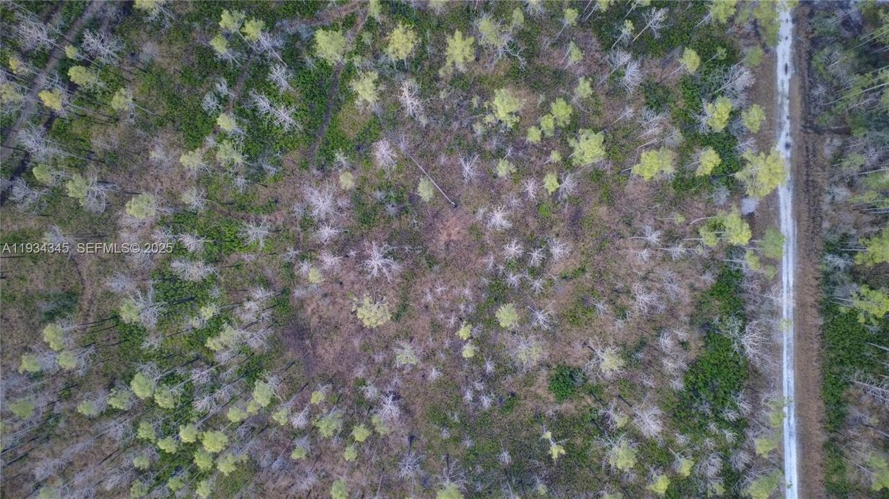 待售: $13,000 (1.25 acres)