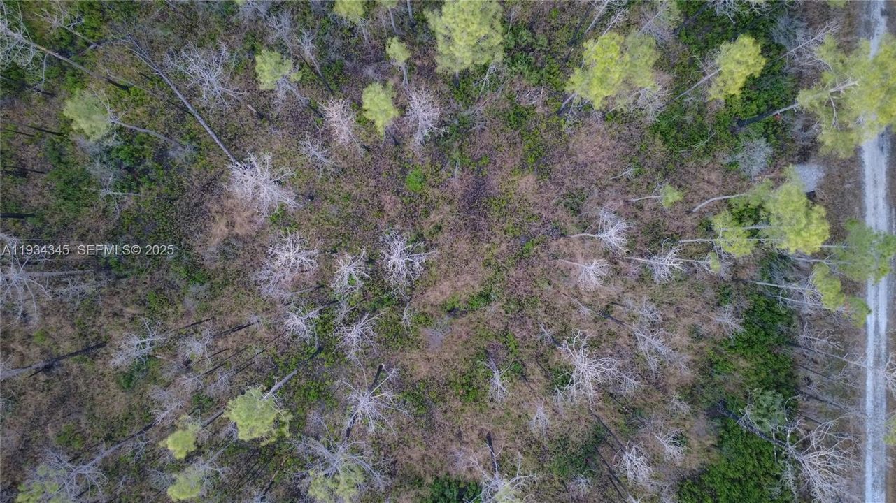 待售: $13,000 (1.25 acres)