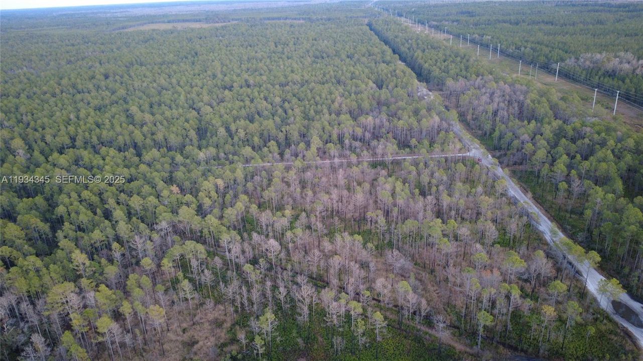 待售: $13,000 (1.25 acres)