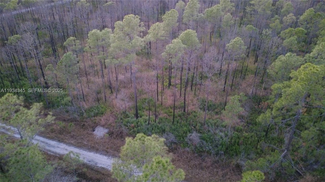 待售: $13,000 (1.25 acres)