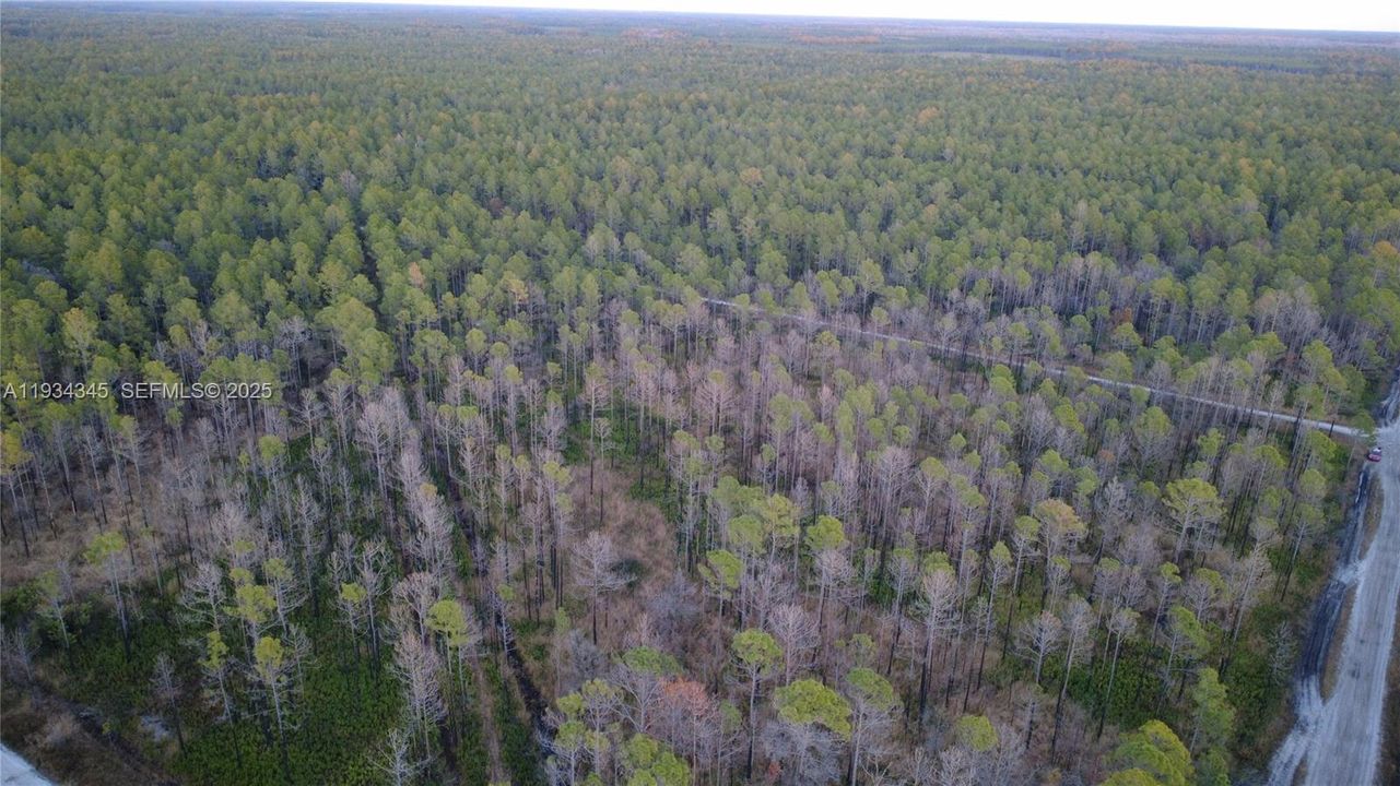 待售: $13,000 (1.25 acres)