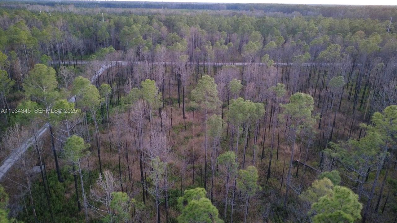 待售: $13,000 (1.25 acres)