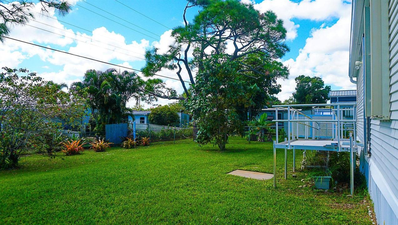Backyard