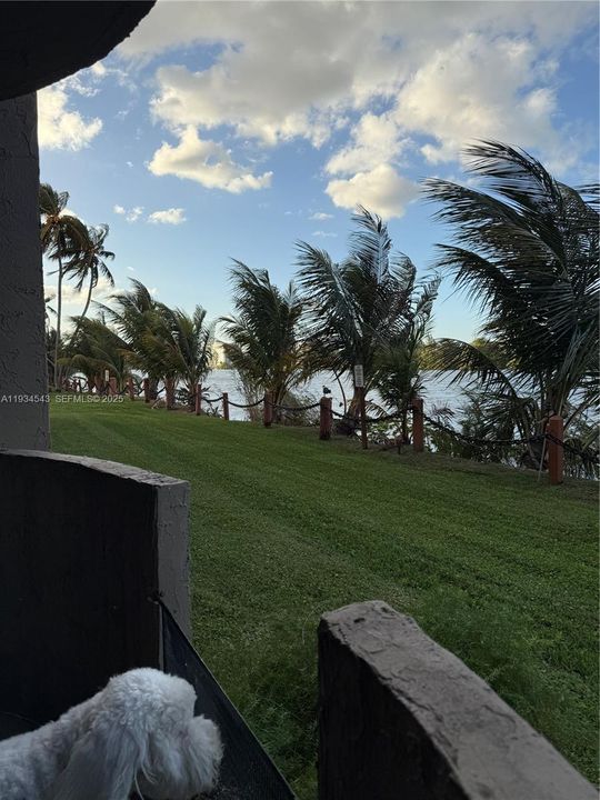 待售: $320,000 (2 贝兹, 2 浴室, 1030 平方英尺)