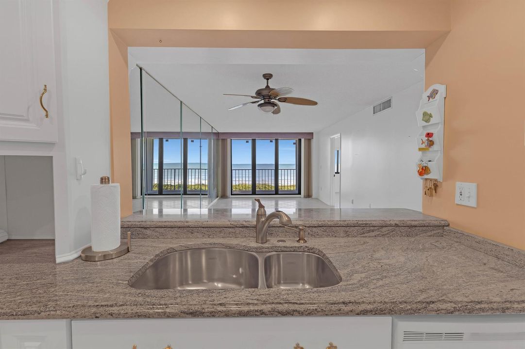 Living and Kitchen view