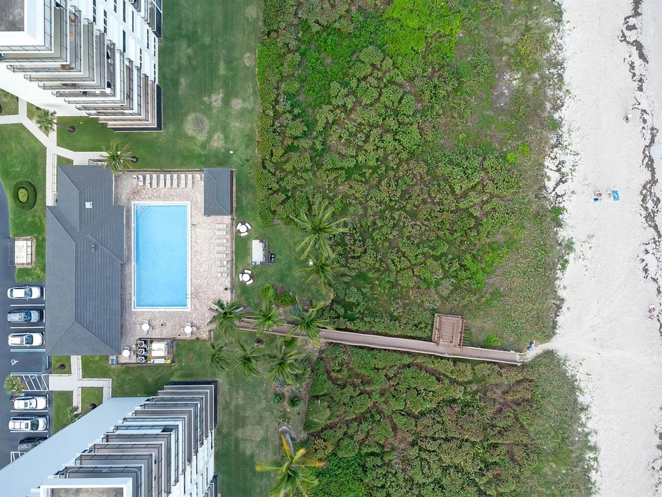 DJI_0181