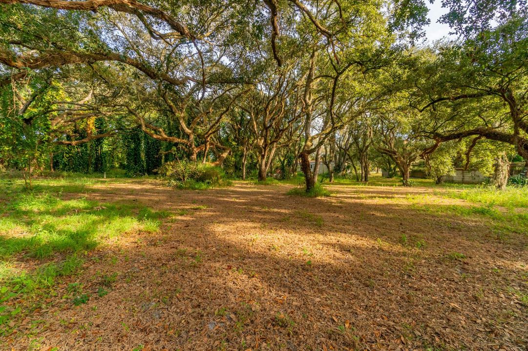 DSC05725-HDR
