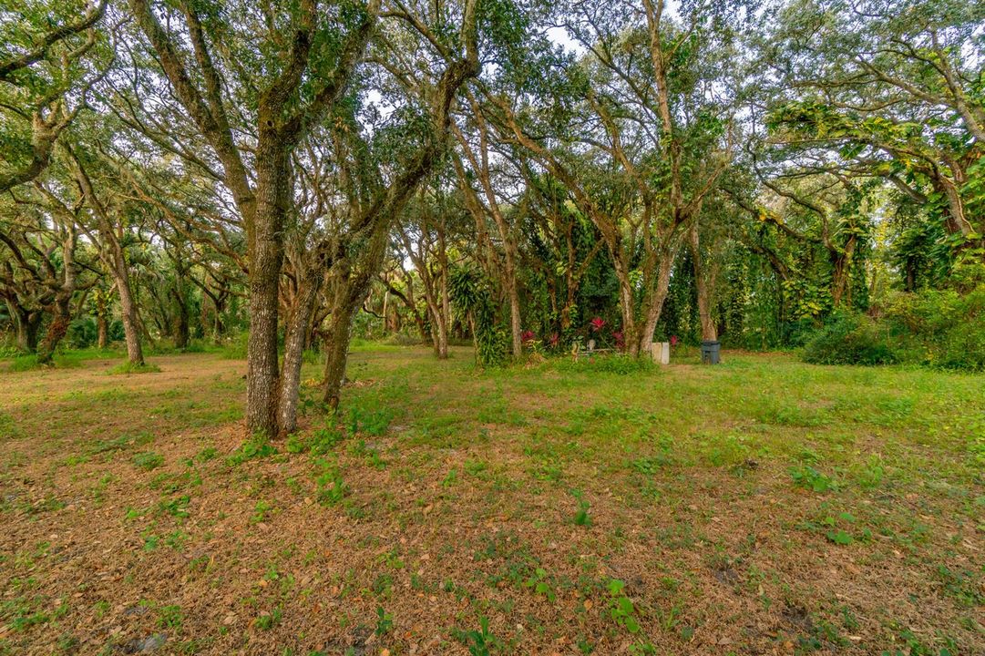 DSC05713-HDR