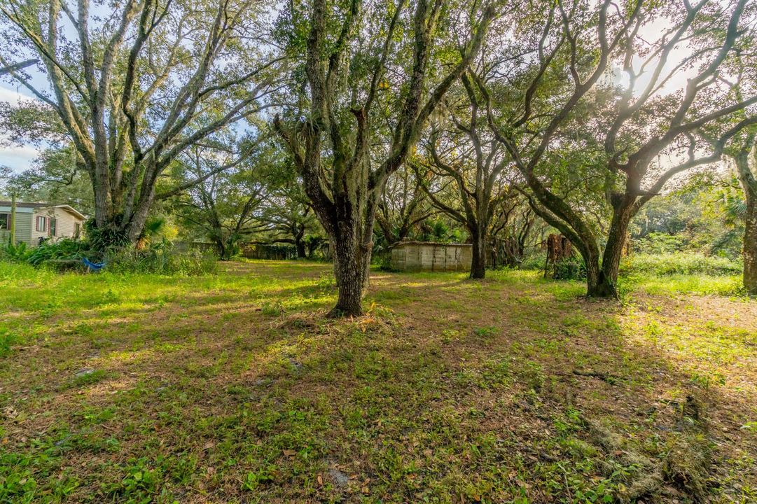 DSC05752-HDR