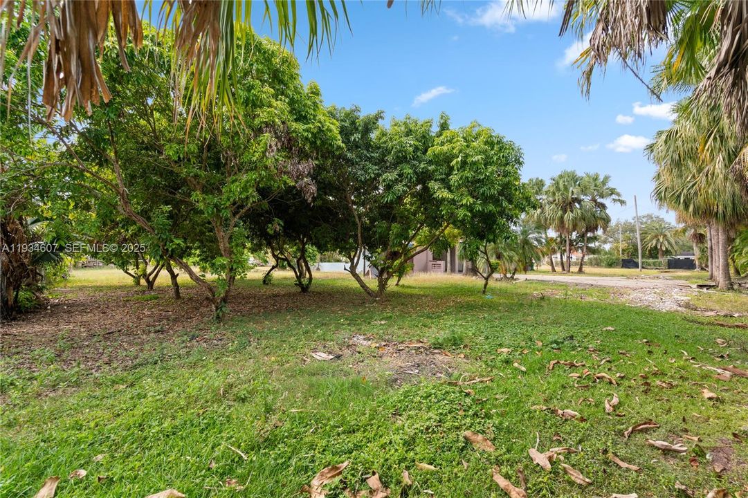 For Sale: $1,650,000 (3 beds, 2 baths, 1790 Square Feet)