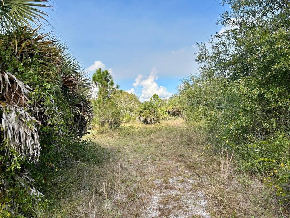 На продажу: $70,000 (1.25 acres)