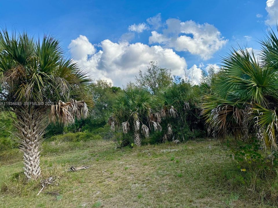 На продажу: $70,000 (1.25 acres)