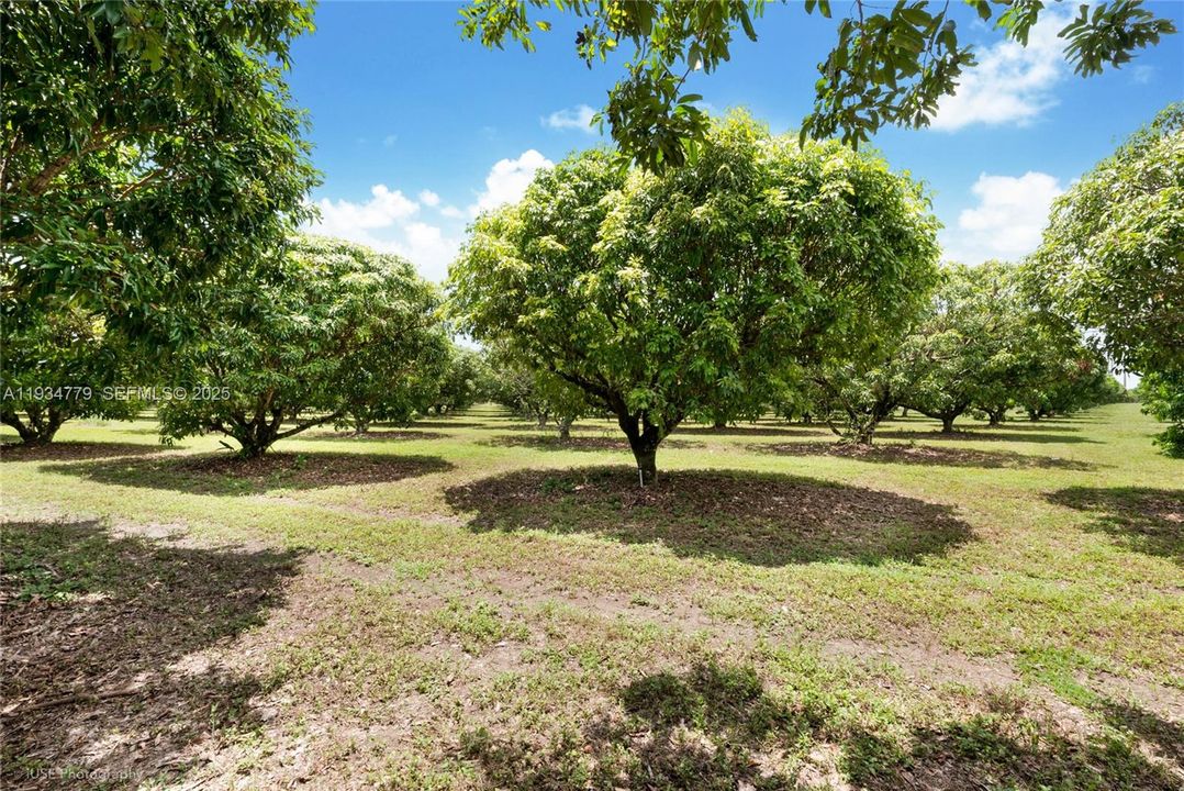 待售: $1,399,000 (5.00 acres)