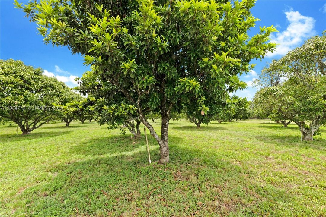 待售: $1,399,000 (5.00 acres)