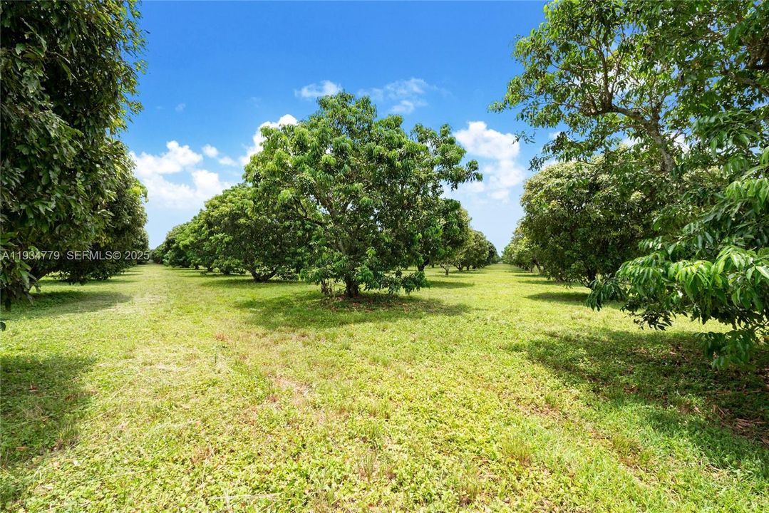 待售: $1,399,000 (5.00 acres)