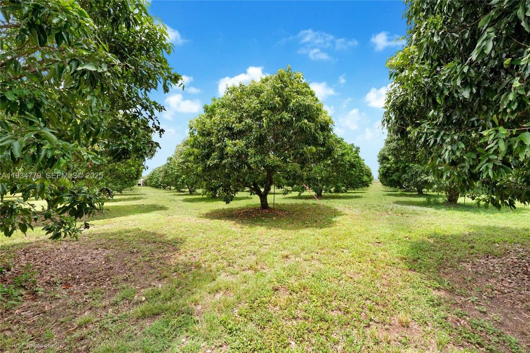 待售: $1,399,000 (5.00 acres)