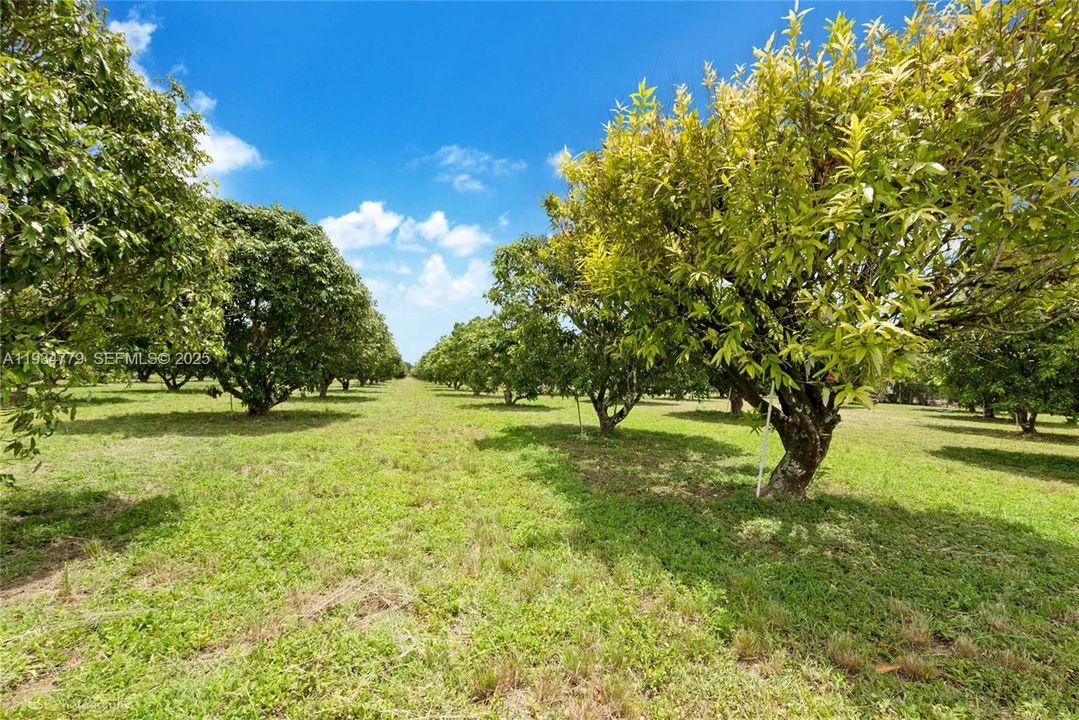 待售: $1,399,000 (5.00 acres)