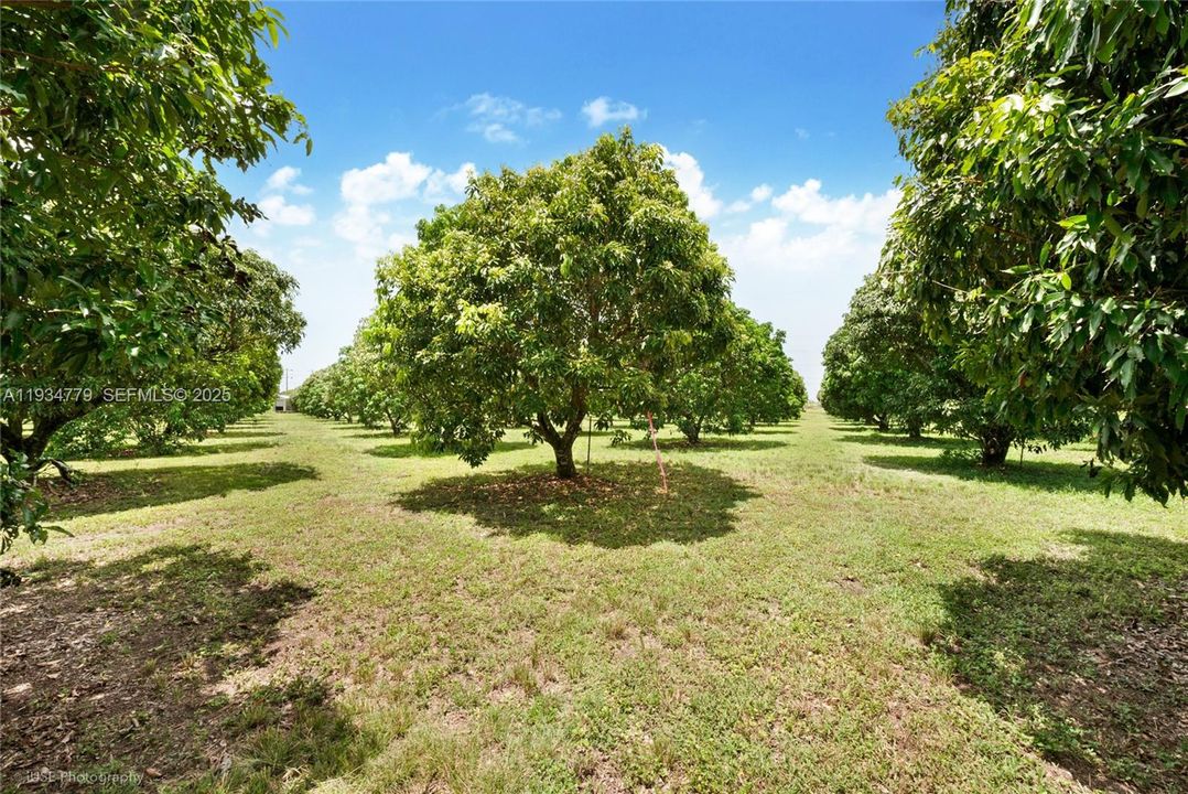 待售: $1,399,000 (5.00 acres)