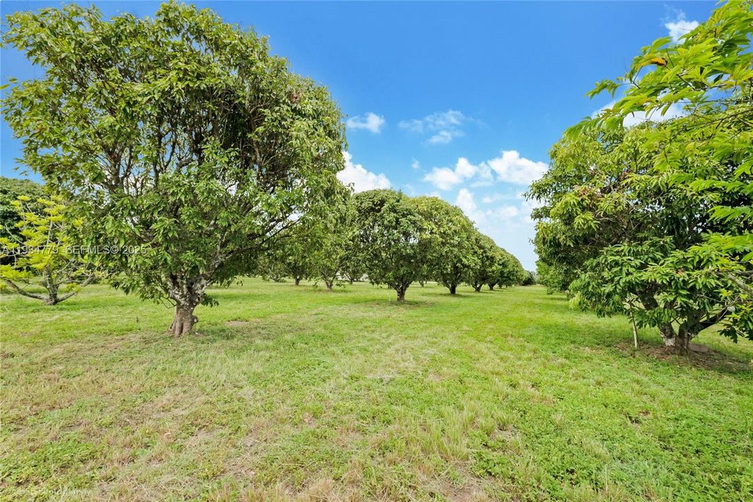 待售: $1,399,000 (5.00 acres)