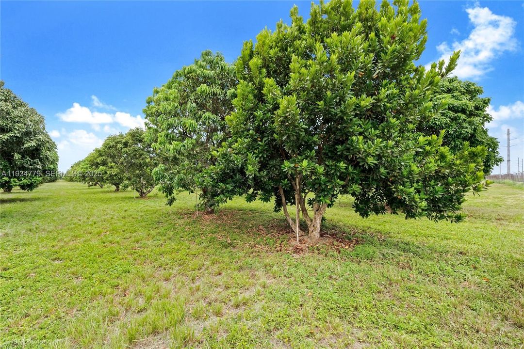 待售: $1,399,000 (5.00 acres)