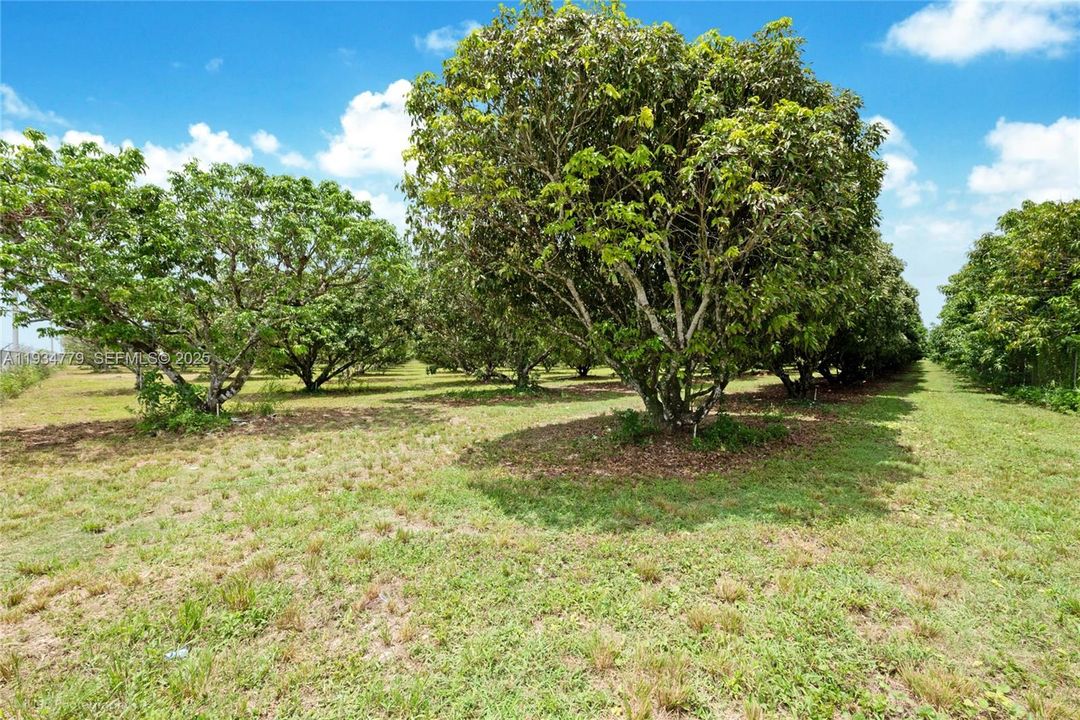 待售: $1,399,000 (5.00 acres)