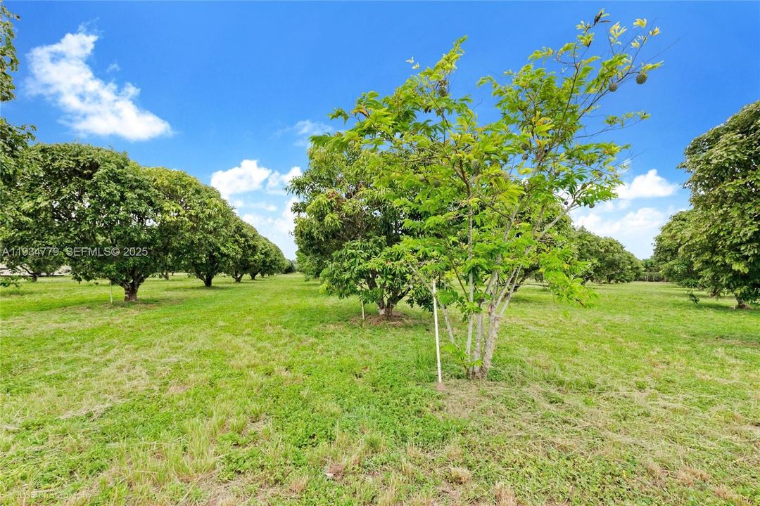 待售: $1,399,000 (5.00 acres)