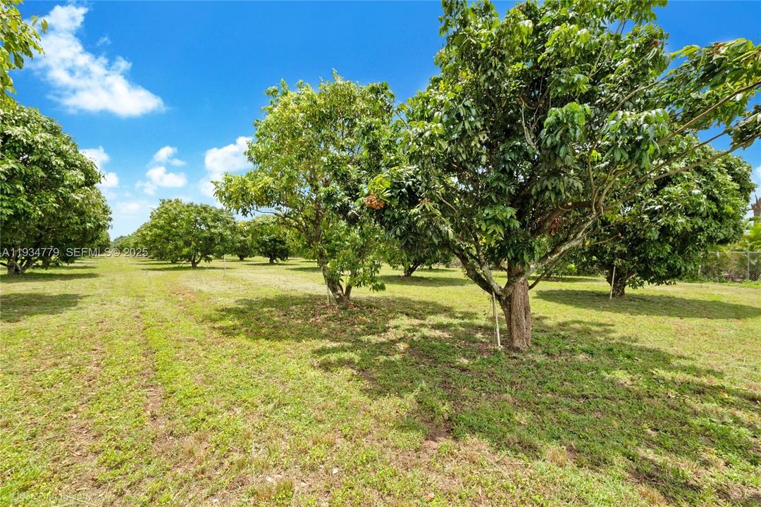 待售: $1,399,000 (5.00 acres)