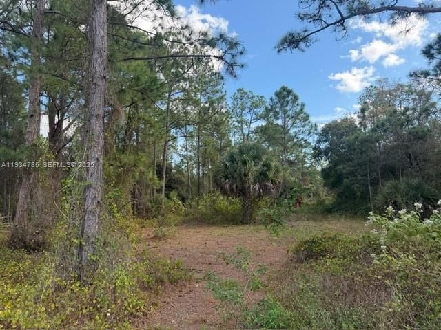 For Sale: $90,000 (0 beds, 0 baths, 0 Square Feet)