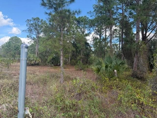 For Sale: $90,000 (0 beds, 0 baths, 0 Square Feet)