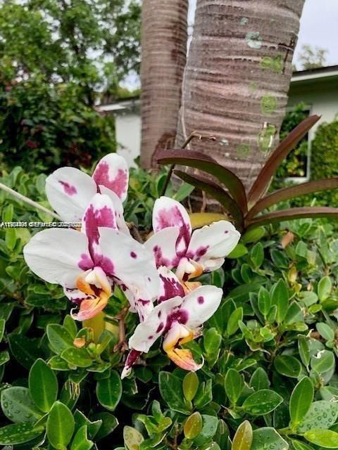 For Rent: $3,950 (3 beds, 1 baths, 1373 Square Feet)