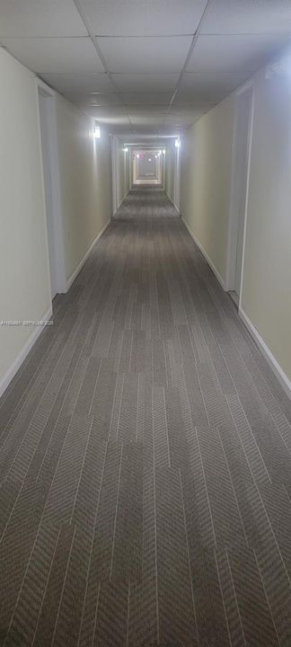 出租: $1,549 (0 贝兹, 1 浴室, 560 平方英尺)