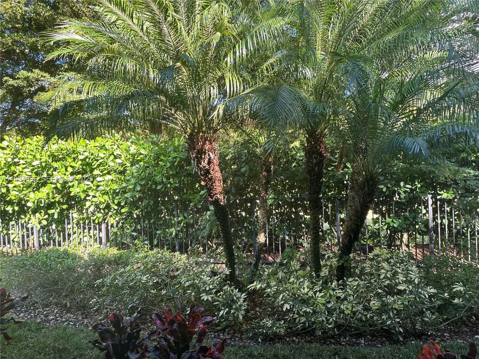 En Venta: $779,900 (3 camas, 2 baños, 1994 Pies cuadrados)