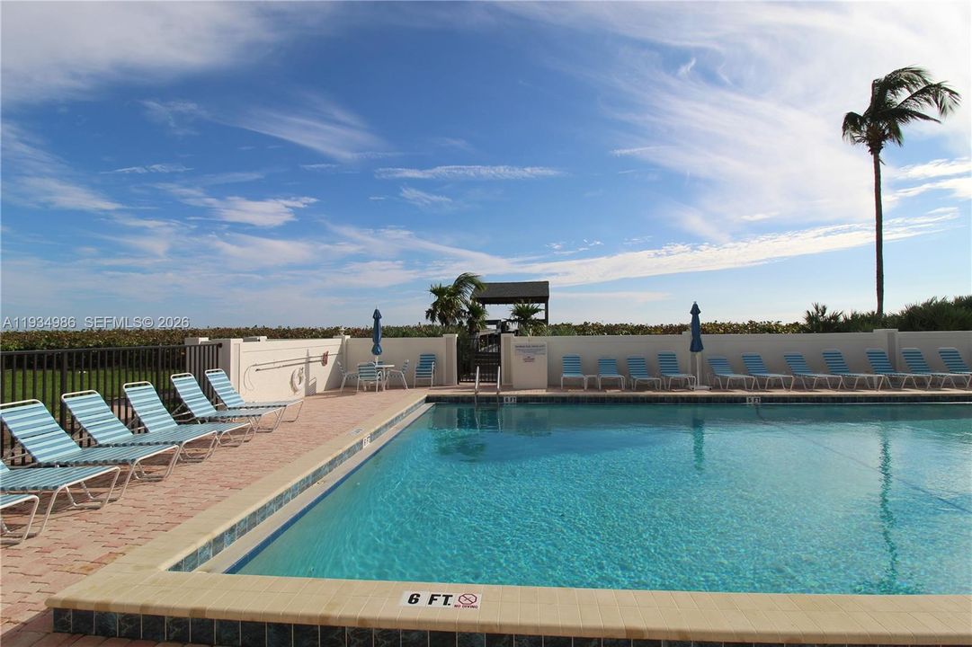 Rectangular swimming pool featuring tile coping, a paver deck, and perimeter masonry wall