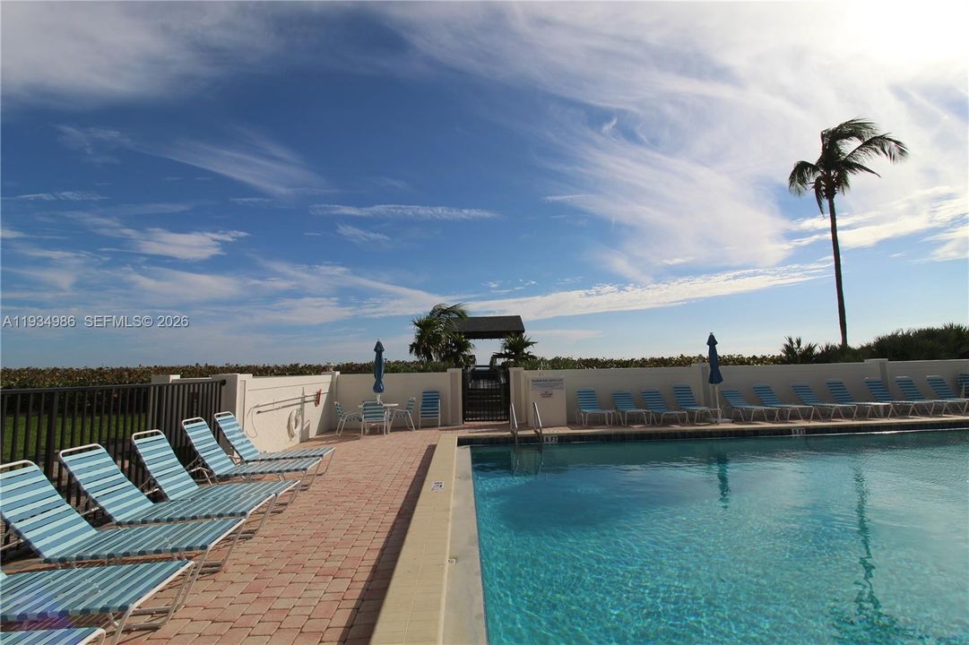 In-ground swimming pool featuring a brick paver deck, perimeter wall, gated access, and integrated metal pool ladder