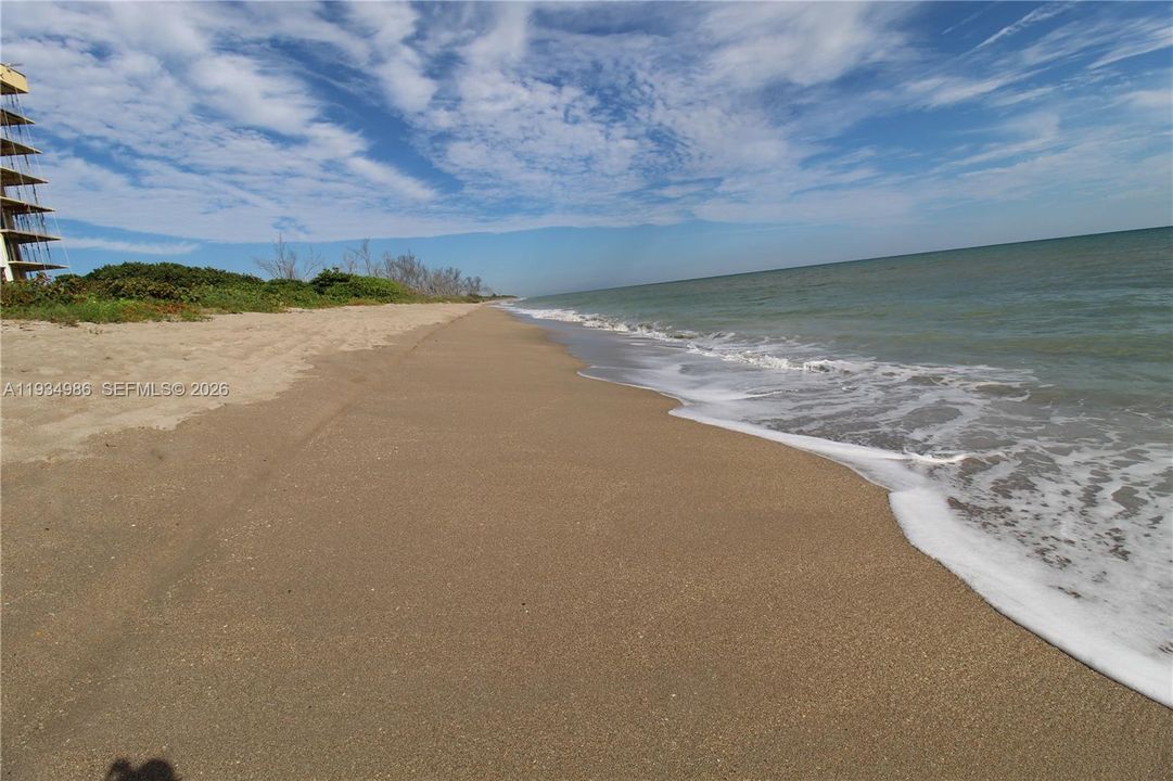 Sandy beachfront coastline featuring natural dunes and ocean access