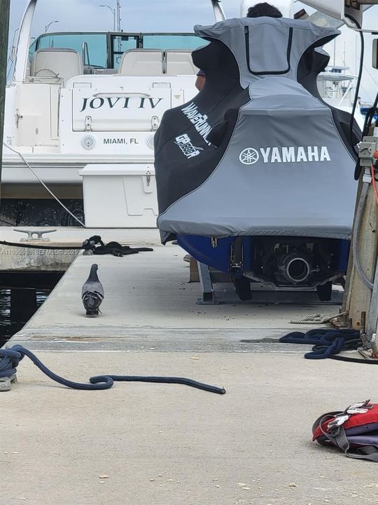 For Sale: $750 (No Data)