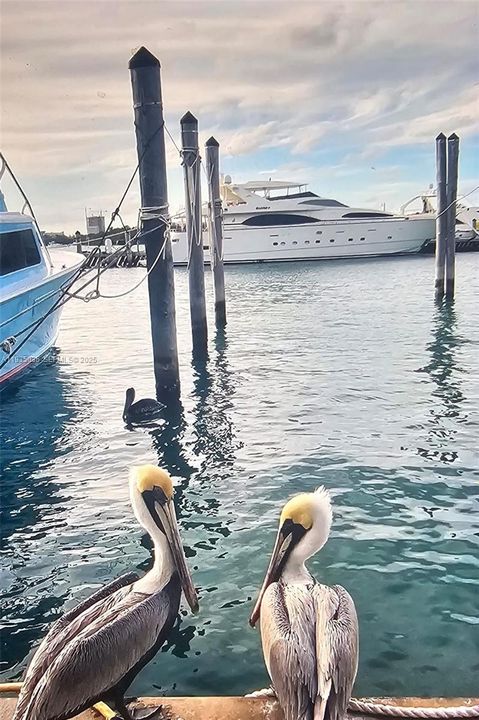 For Sale: $750 (No Data)