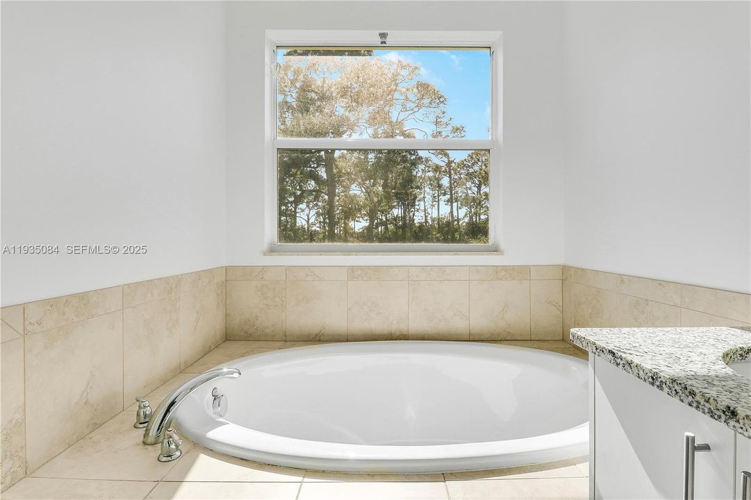 Soaking Tub in Primary Bathroom