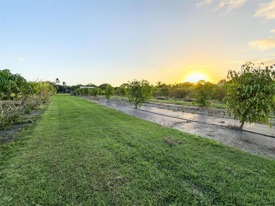 For Sale: $499,000 (2.50 acres)