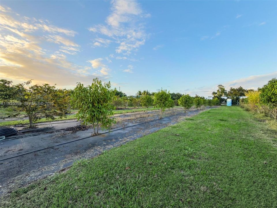 For Sale: $499,000 (2.50 acres)