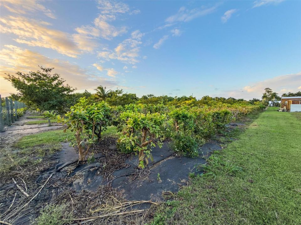 For Sale: $499,000 (2.50 acres)