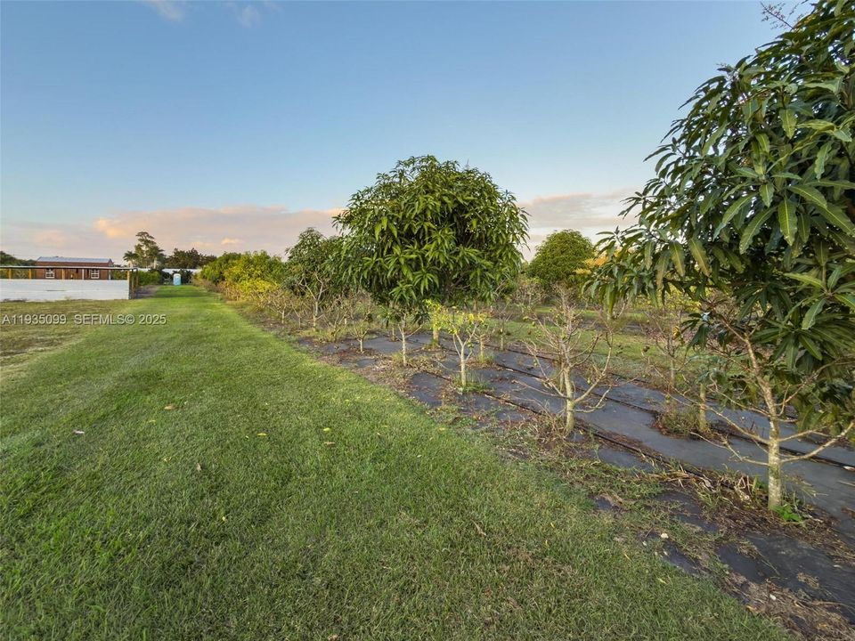 For Sale: $499,000 (2.50 acres)