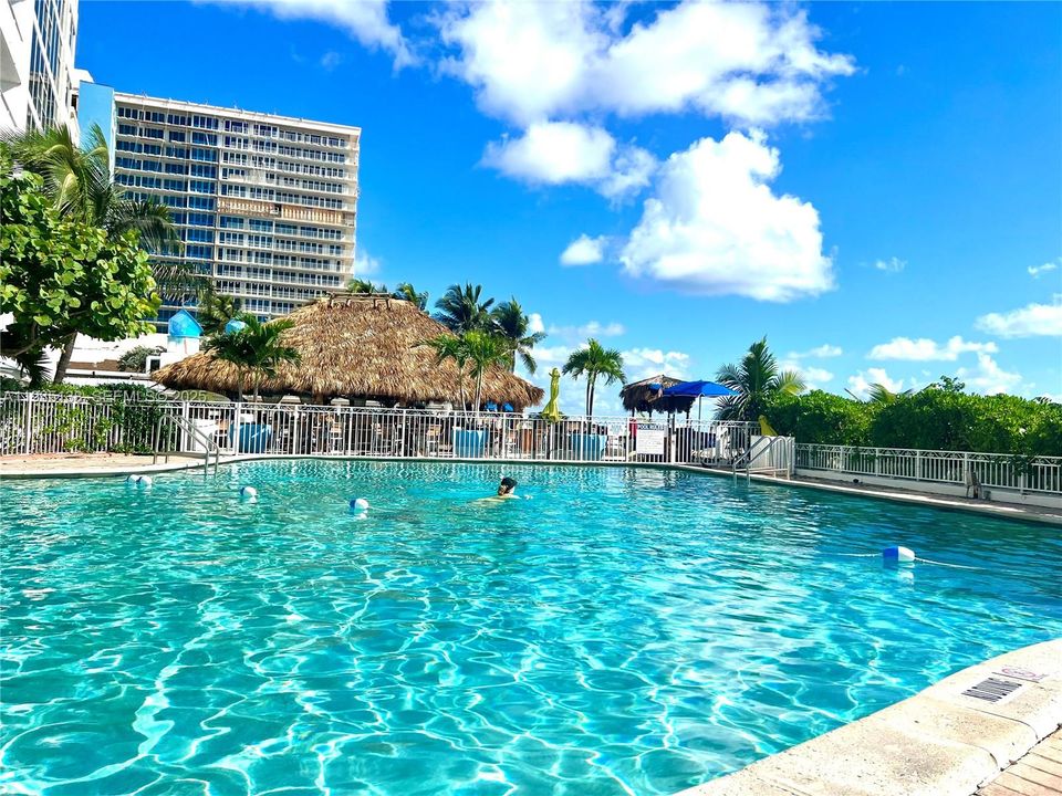 待售: $325,000 (1 贝兹, 1 浴室, 280 平方英尺)