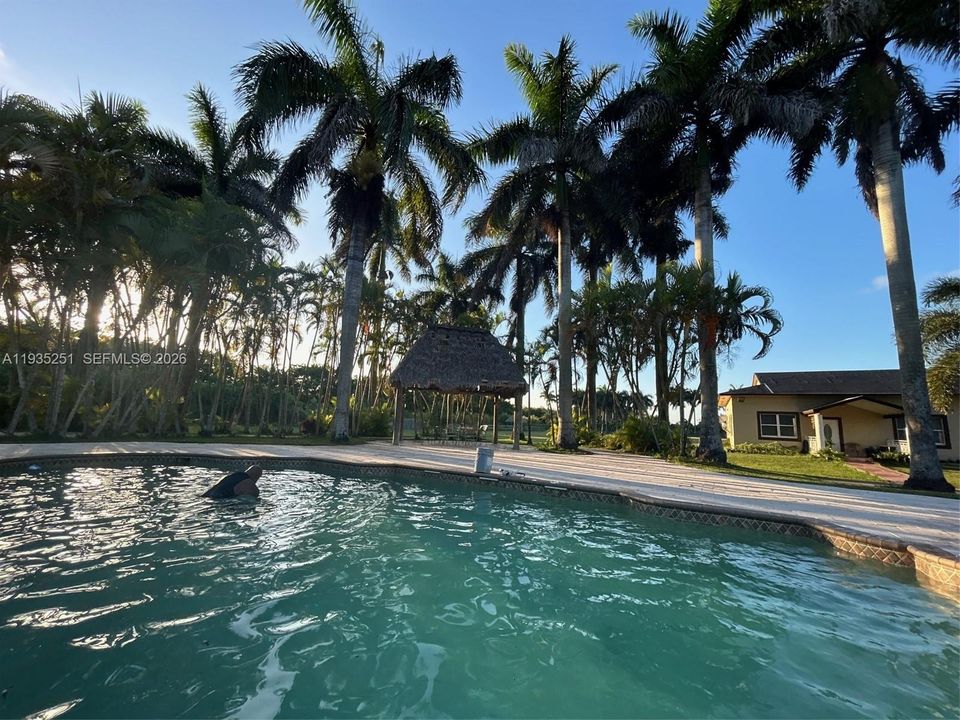 En Venta: $2,350,000 (7 camas, 5 baños, 4343 Pies cuadrados)