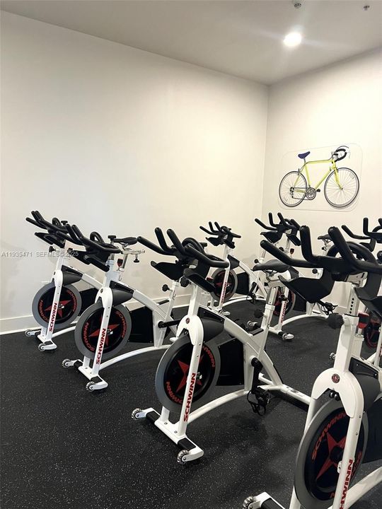 出租: $2,550 (1 贝兹, 1 浴室, 663 平方英尺)