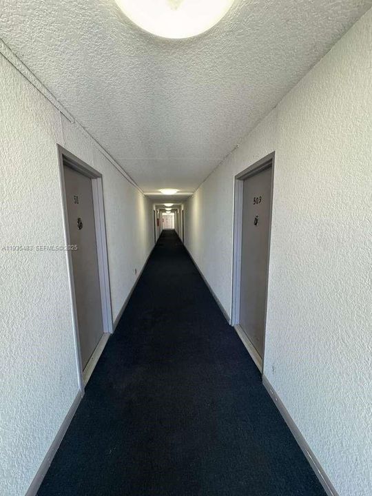 出租: $1,550 (1 贝兹, 1 浴室, 800 平方英尺)