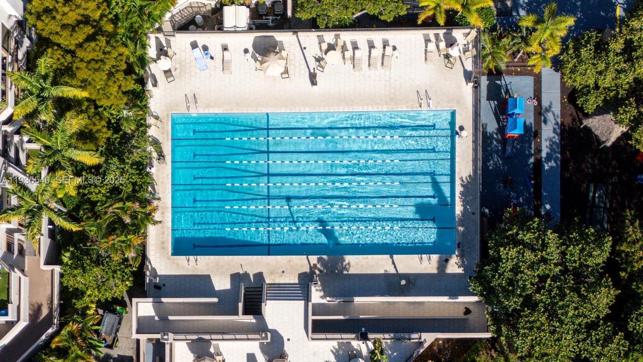 Olympic Size Pool